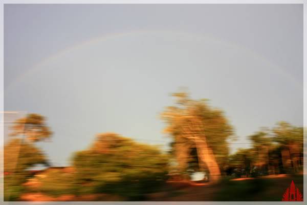 rainbowmalacca.jpg