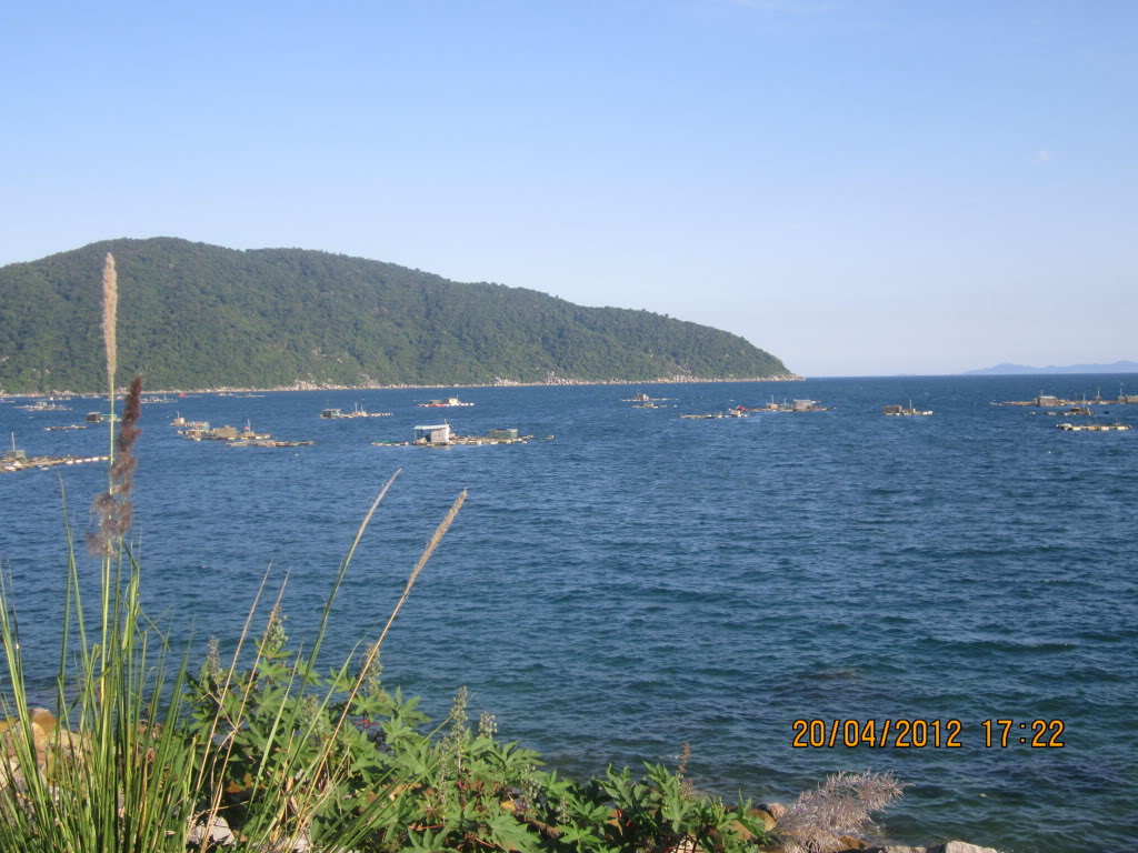IMG_5331.jpg