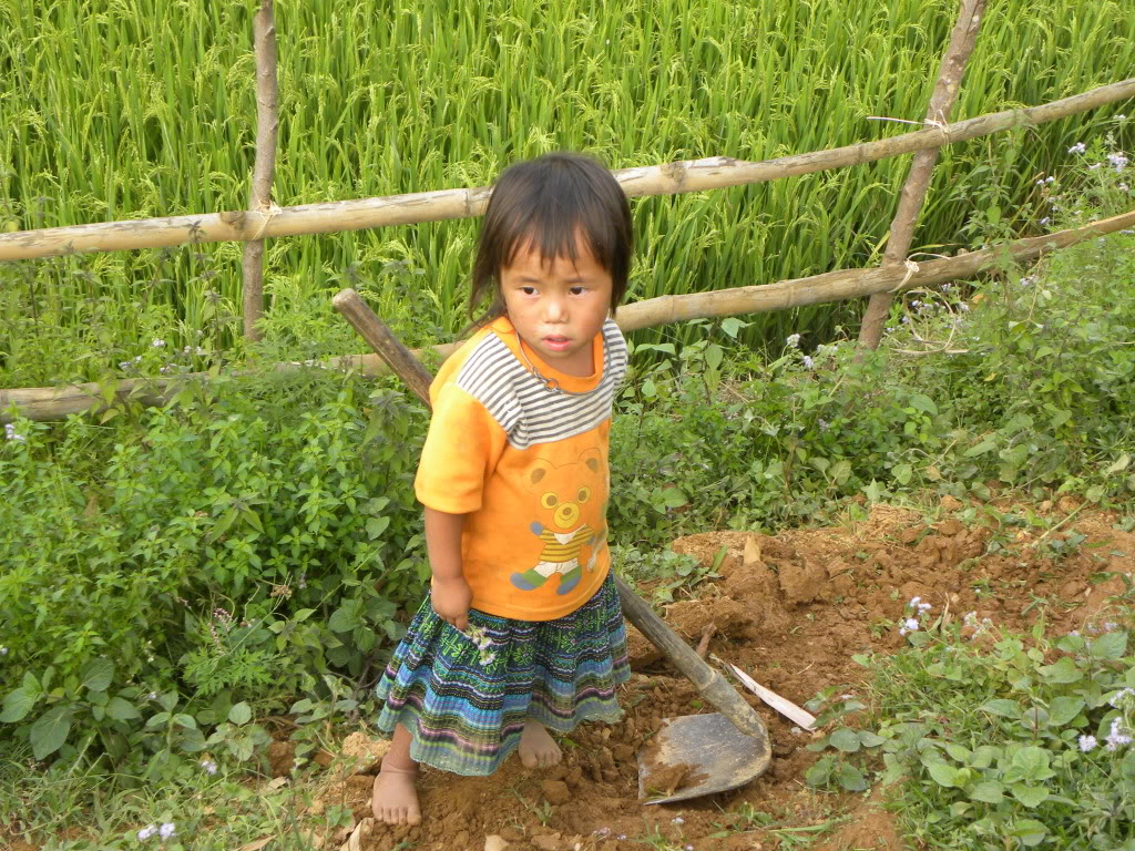 DSCN8157.jpg