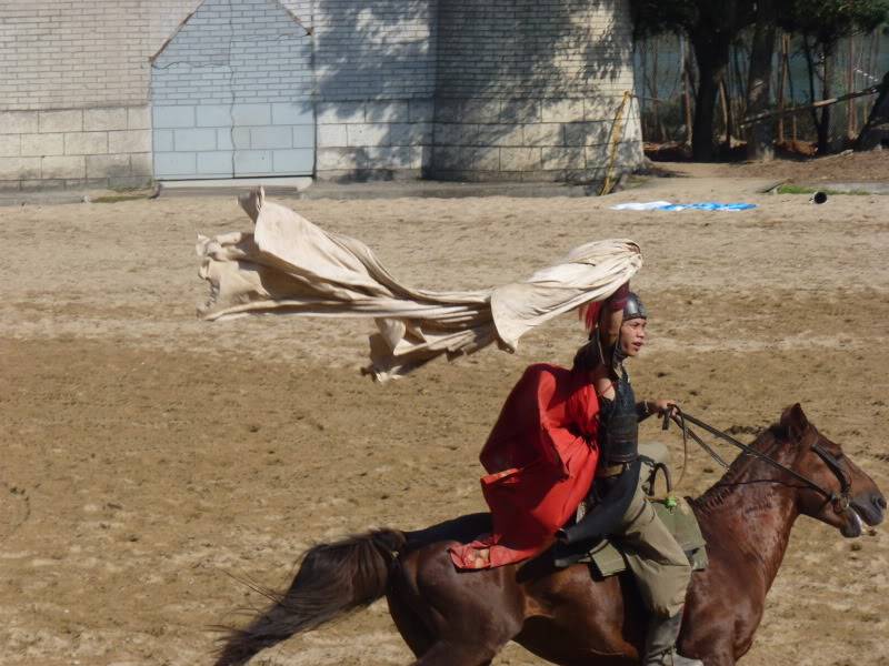 P1030610.jpg