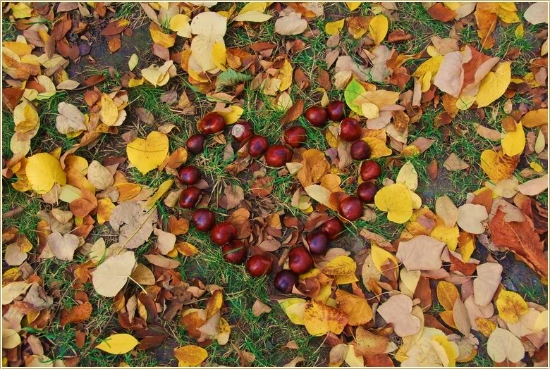 Love-fall.jpg