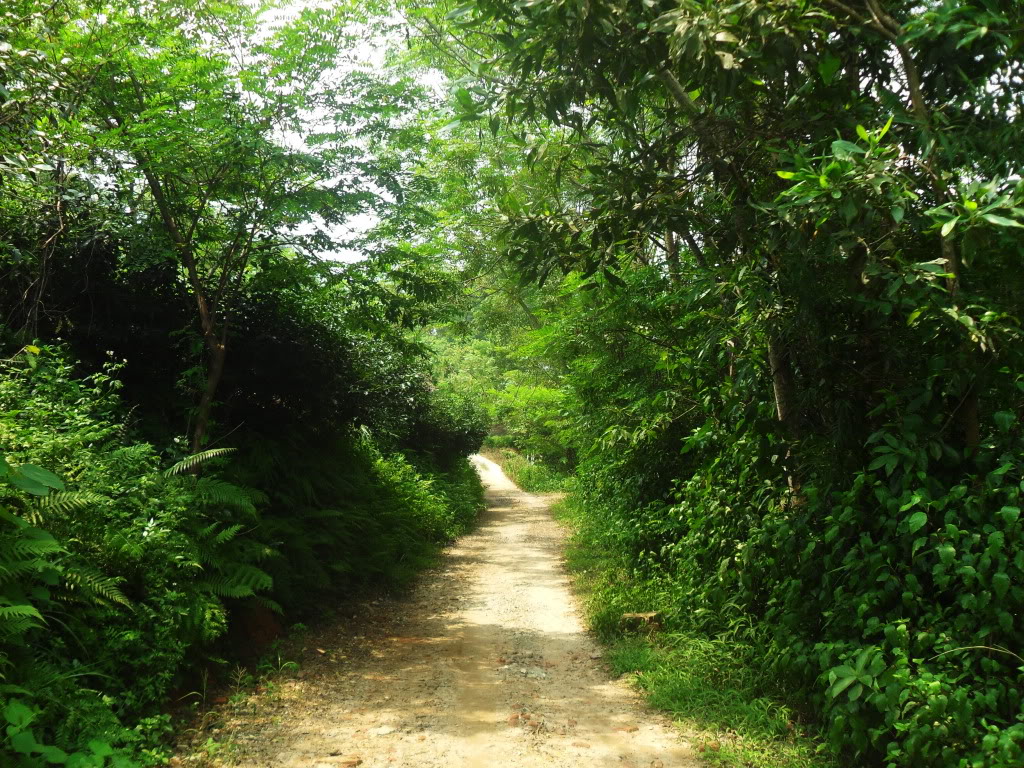 SDC17490.jpg