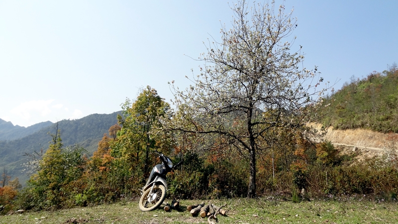 DSC09253_zps12449626.jpg