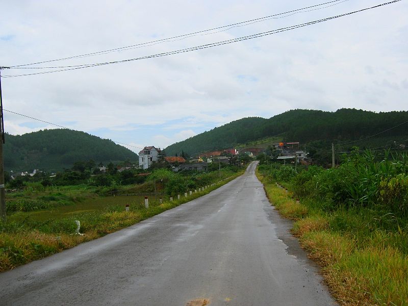 IMG_5428.jpg