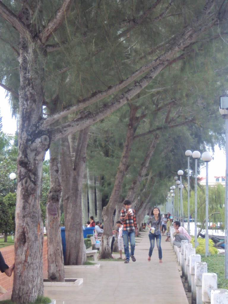 DSC05285.jpg