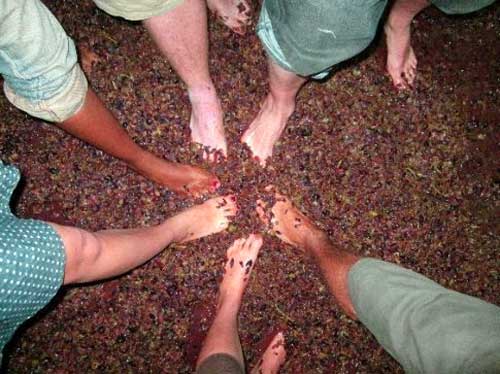 GreatGrapeStomp.jpg