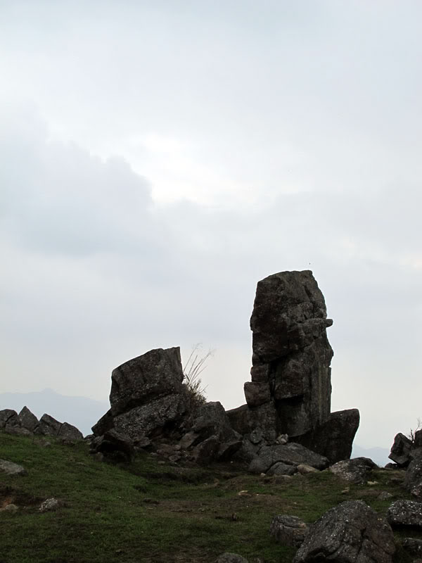IMG_5662.jpg