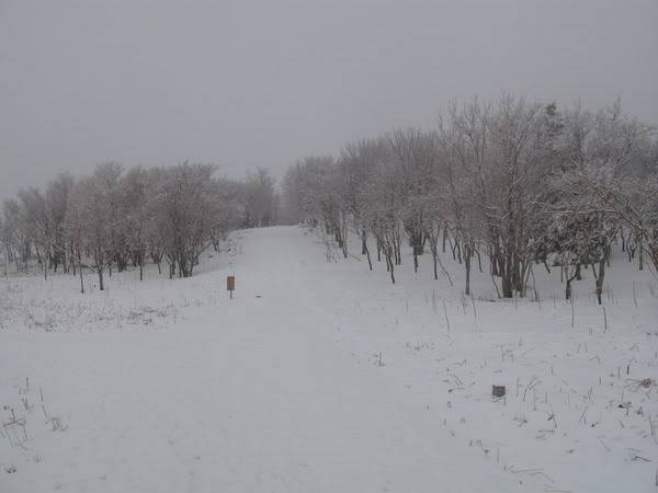 IMG_3290_resize.jpg