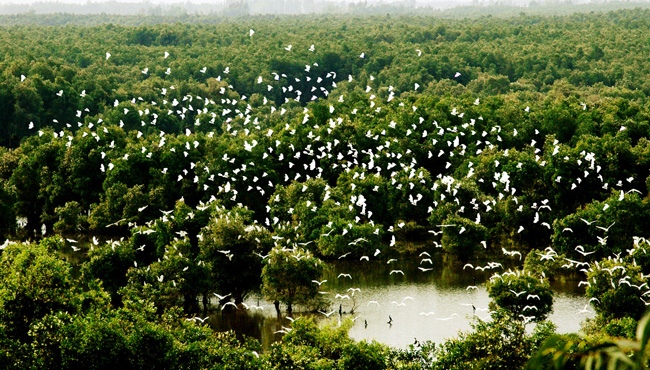 dulichdongthap5.jpg
