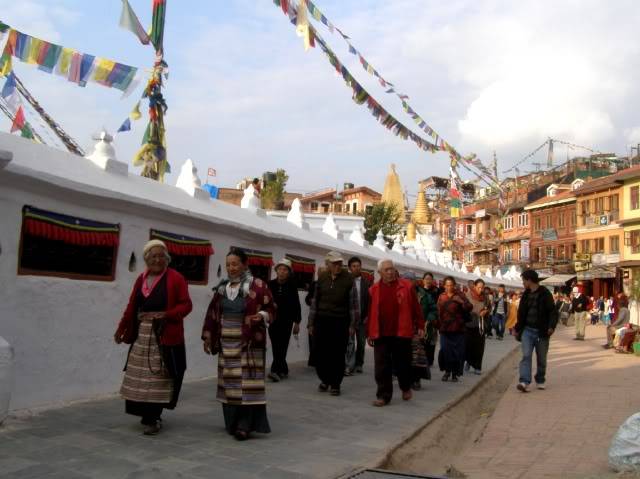 PB050137.jpg