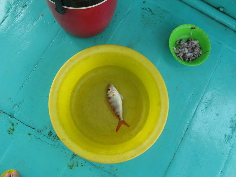 PhuQuoc09_339.jpg