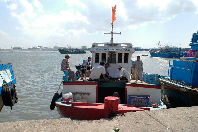 md0990.jpg
