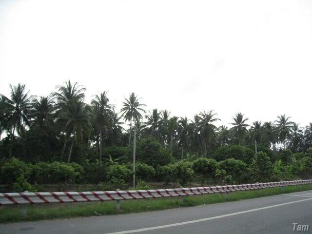 IMG_3505.jpg