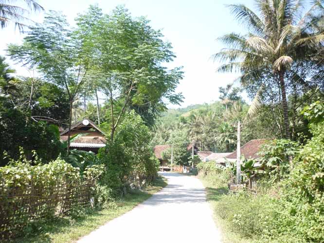 P1410346.jpg