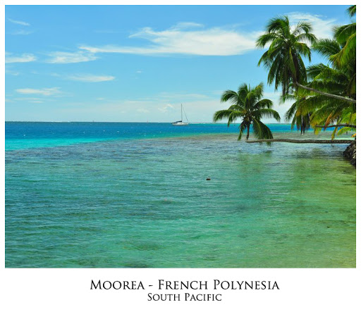 Moorea001.jpg