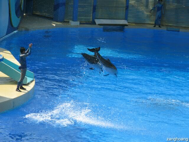 IMG_0942.jpg