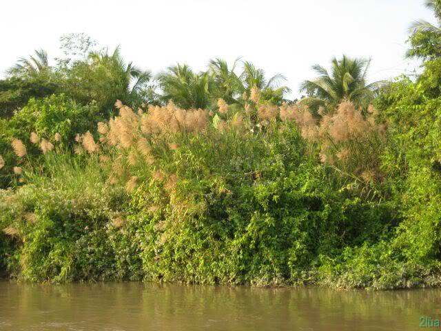 IMG_1293.jpg