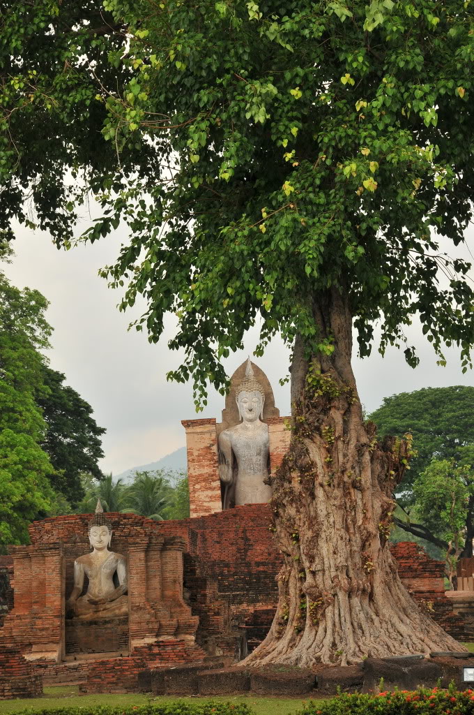 DSC_1316.jpg