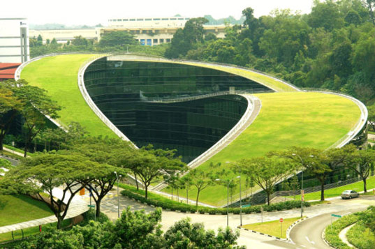 nanyang1.jpg