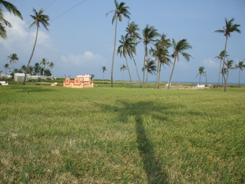 DSCF6800.jpg