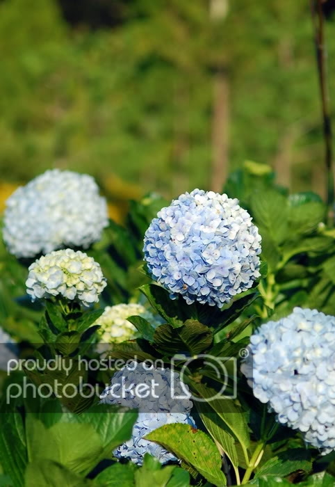 DSC_5398_resize.jpg