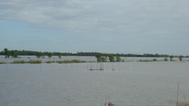 DSC05708.jpg