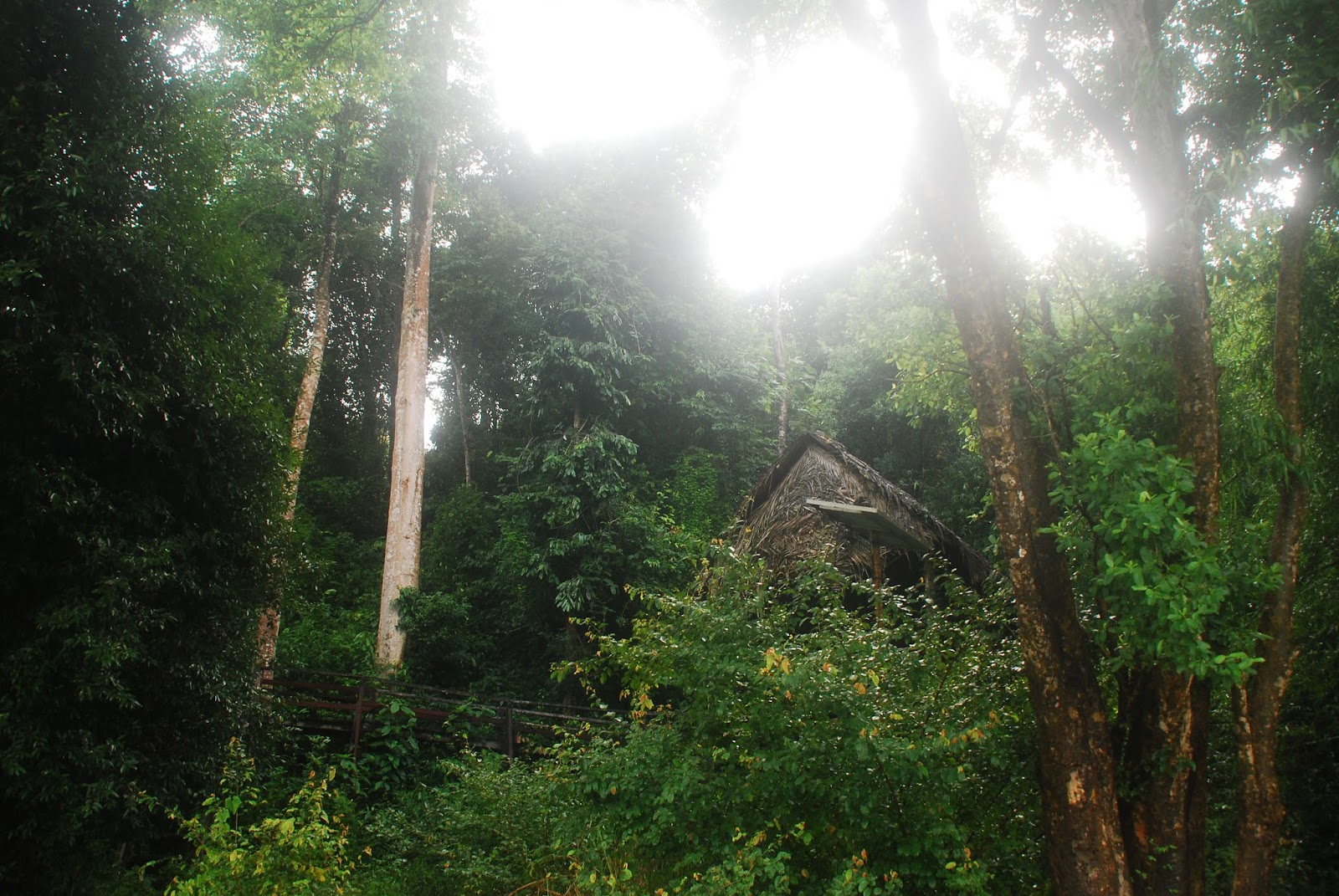 DSC_6943.JPG
