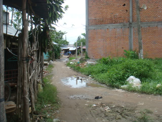 317.jpg