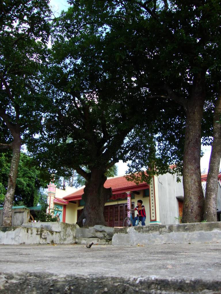 DSC00837.jpg