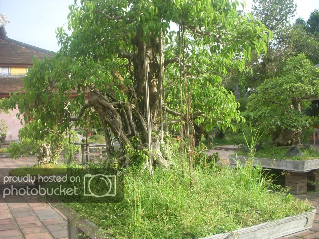 DSCN4838_zps3c497267.jpg
