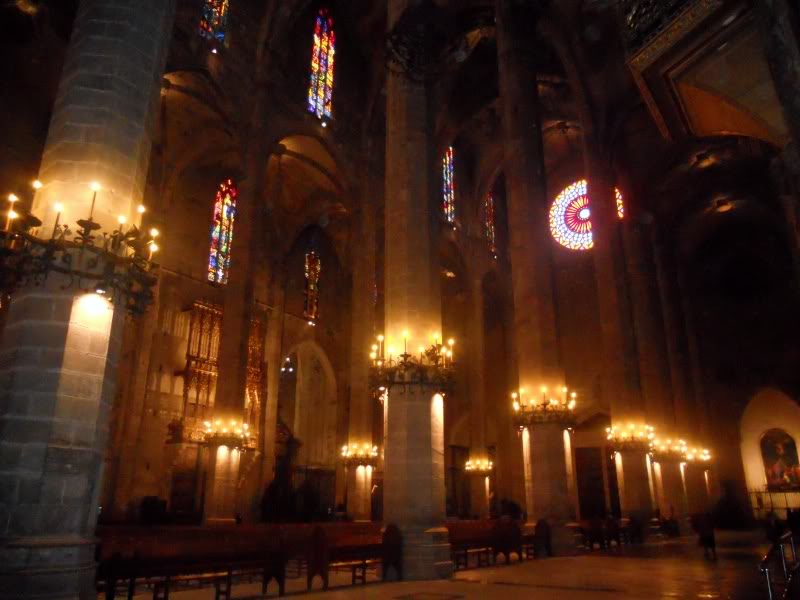 DSCN6703.jpg