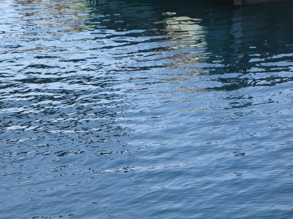 IMG_3772_resize.jpg