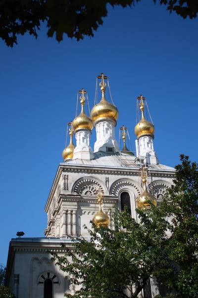 IMG_7993.jpg