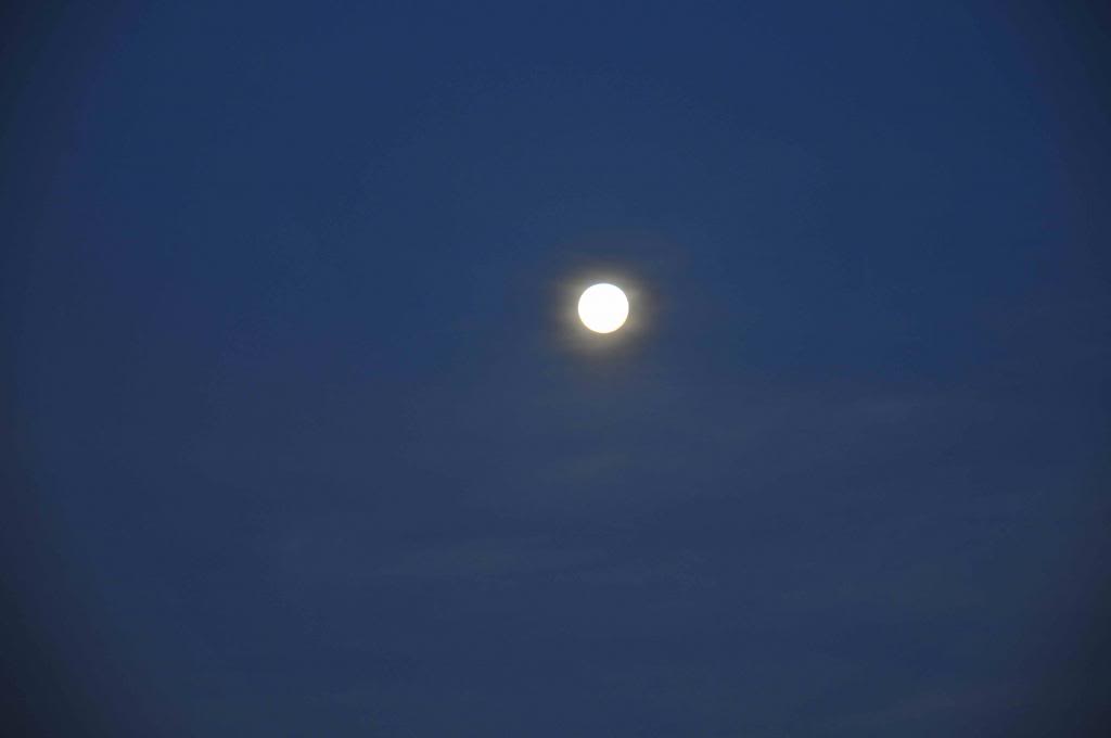 DSC_1902_zpsf9dc4a13.jpg