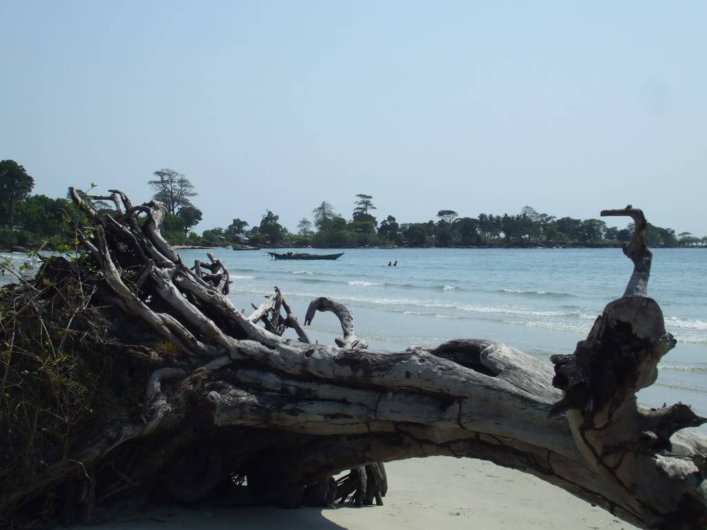 DSCF5730.jpg