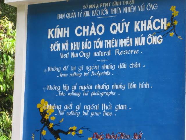 tnhlinh19.jpg