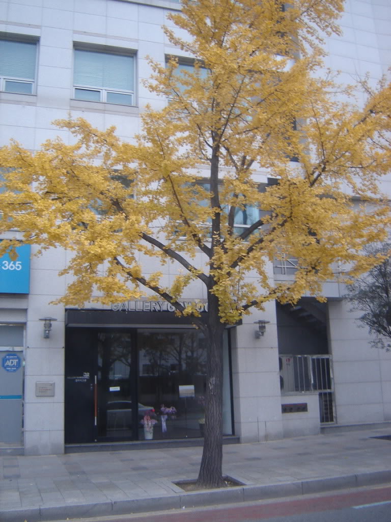 DSC08762.jpg