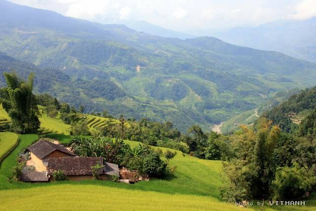 Hgiang76.jpg