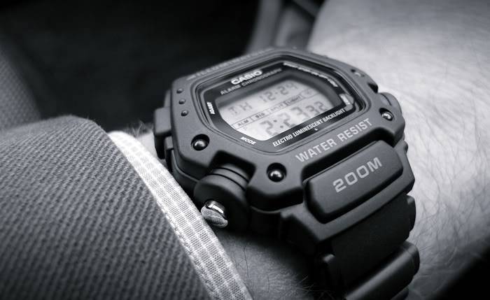 DW-290longbw700.jpg