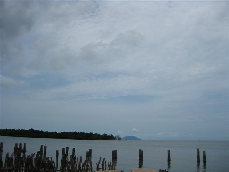 IMG_6564Medium.jpg
