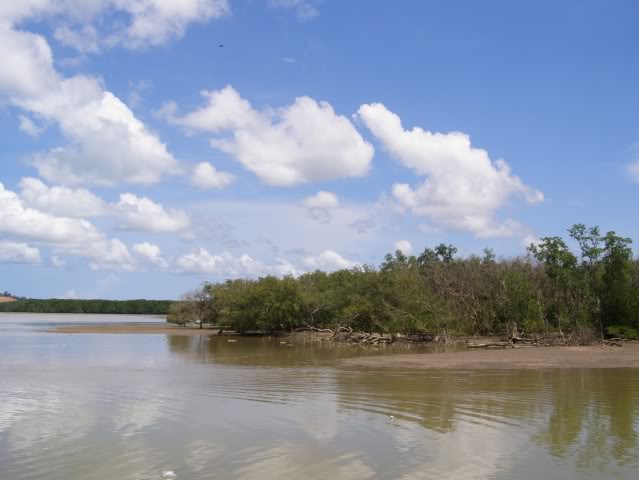 P7110264.jpg