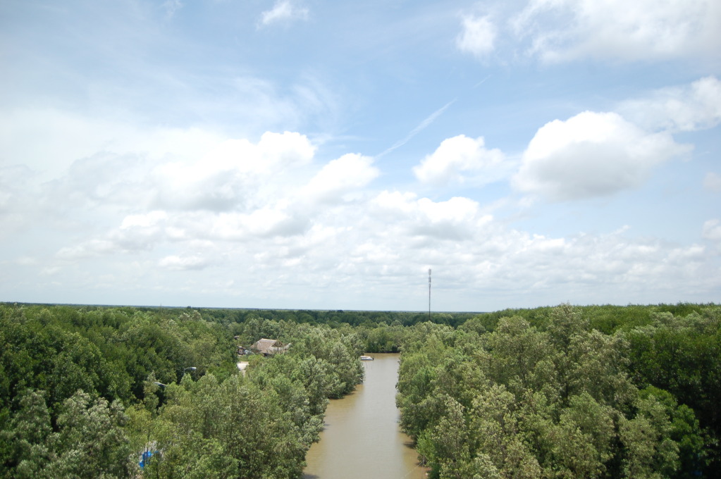 DSC_0834.jpg