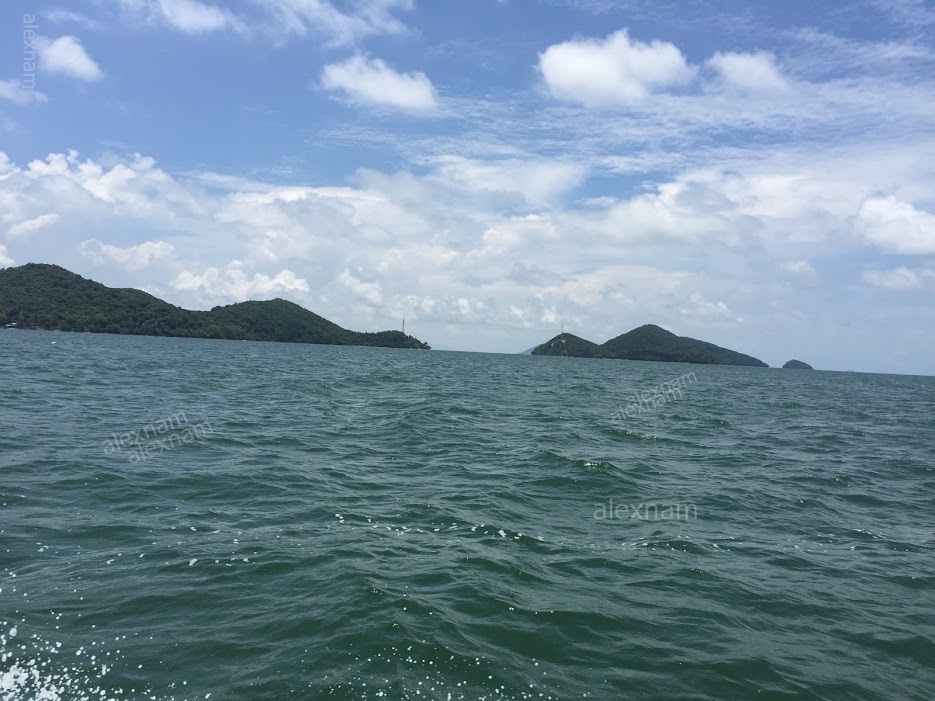 image1.jpg