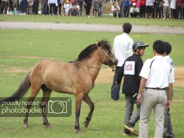 DSCF1069.jpg