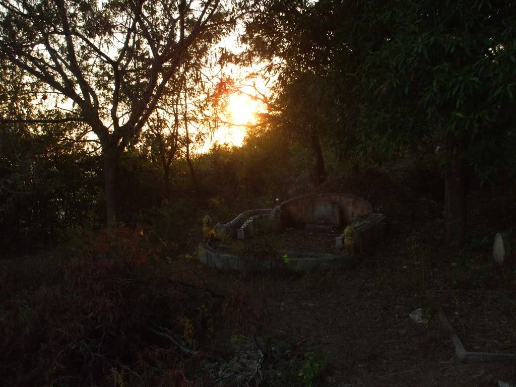 DSCF5589.jpg