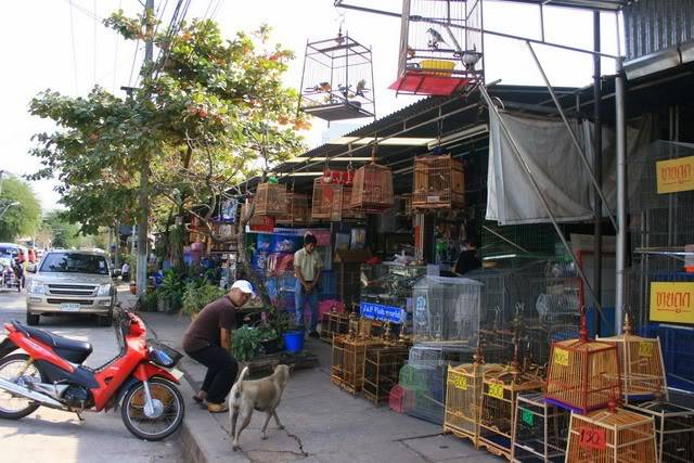 lao78.jpg