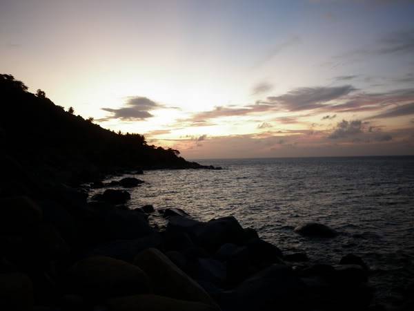 P1000835.jpg