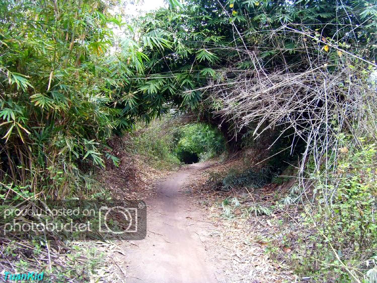 SDC19064.jpg