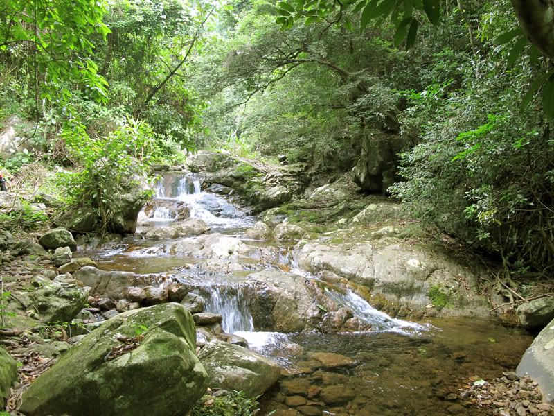 TayYenTu1010593.jpg