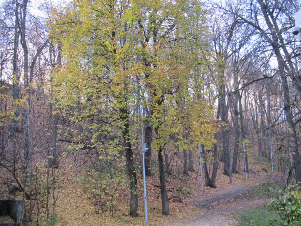 IMG_6591_zps5f8350e1.jpg
